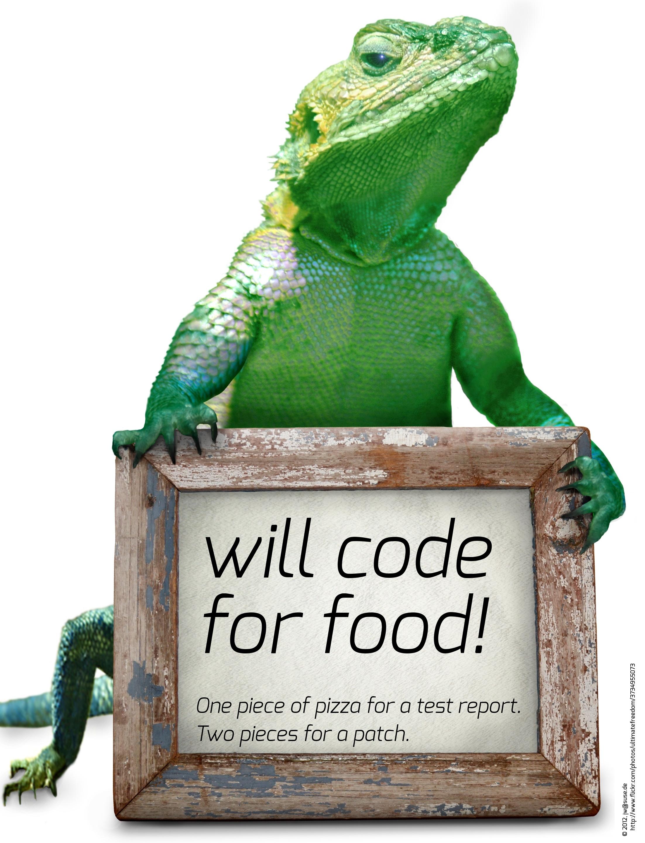 Will Code for Food Geeko